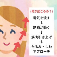 画像1300